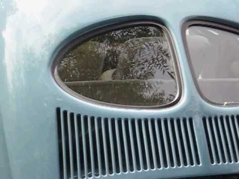 1952 VW SPLIT WINDOW BUG @ meldert 2010